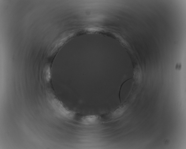 X0000114180479200910081503