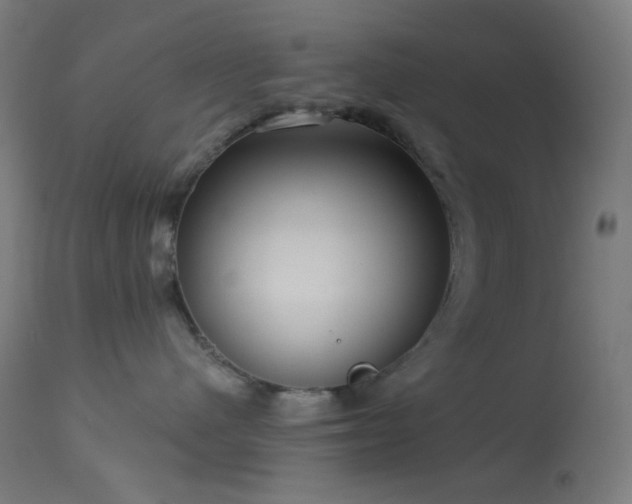 X0000114180480200910081503