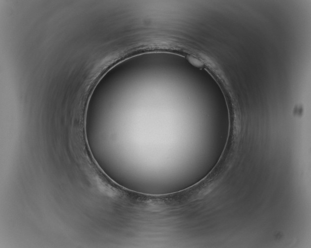 X0000114180481200910081502