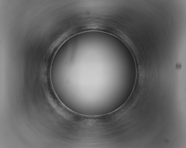 X0000114180482200910081502