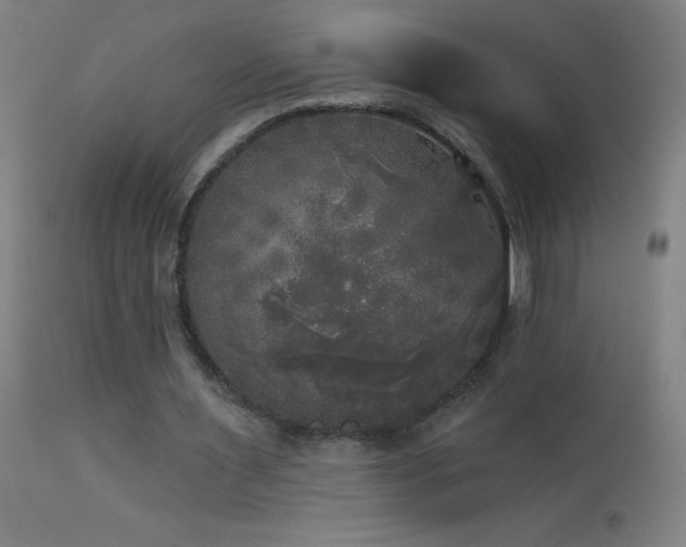 X0000114180483200910081502