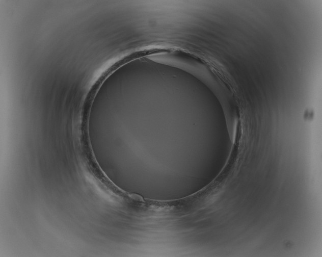 X0000114180484200910081502