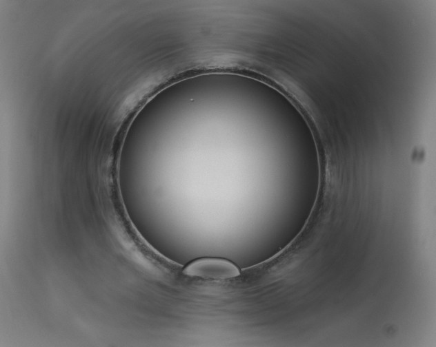 X0000114180485200910081502