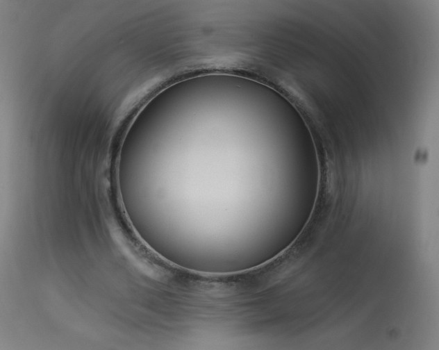X0000114180486200910081502