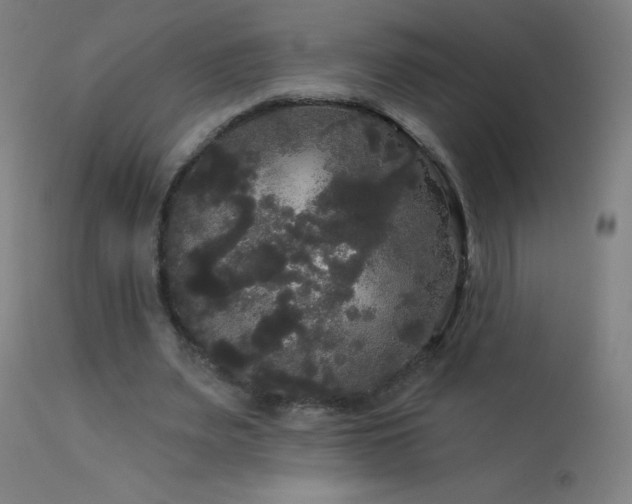 X0000114180487200910081502