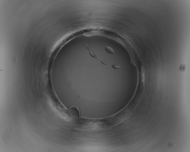 X0000114180488200910081502