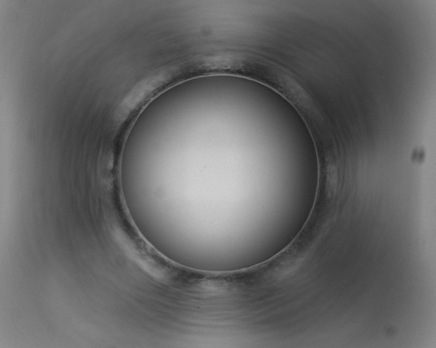 X0000114180490200910081502