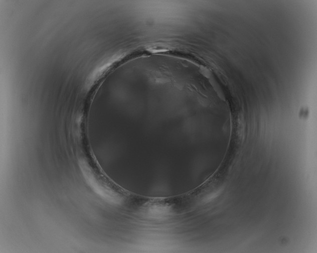 X0000114180491200910081502