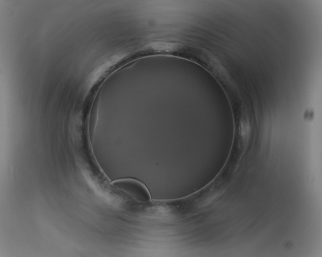 X0000114180492200910081502