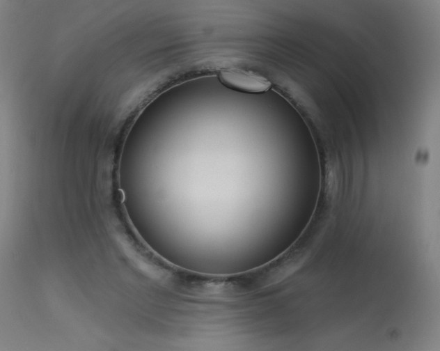 X0000114180493200910081502