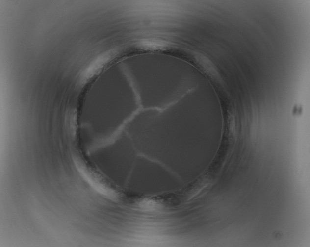 X0000114180494200910081502