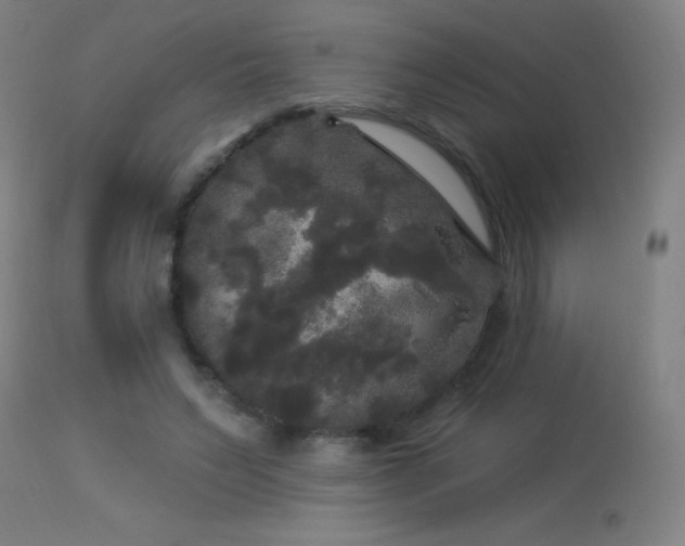 X0000114180495200910081502