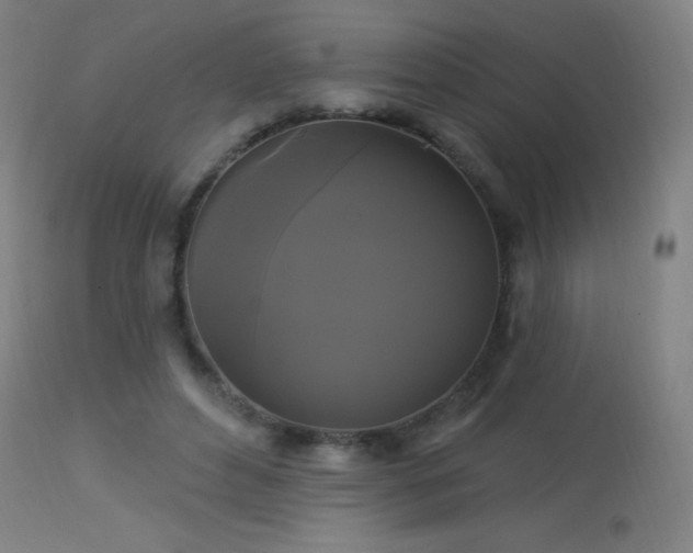 X0000114180496200910081502