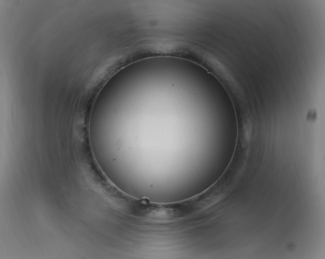 X0000114180497200910081502