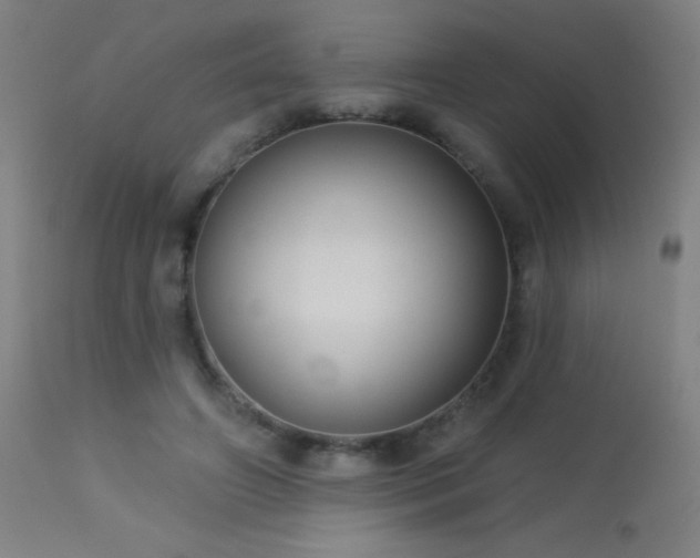 X0000114180498200910081502