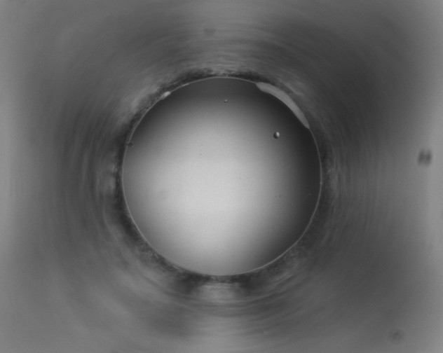 X0000114180499200910081502