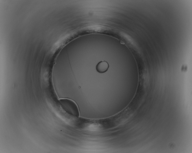 X0000114180500200910081502