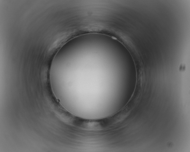 X0000114180501200910081502