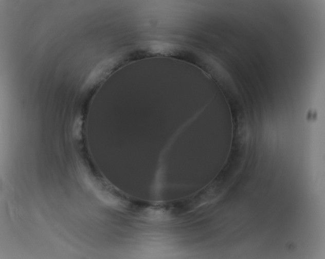 X0000114180502200910081502