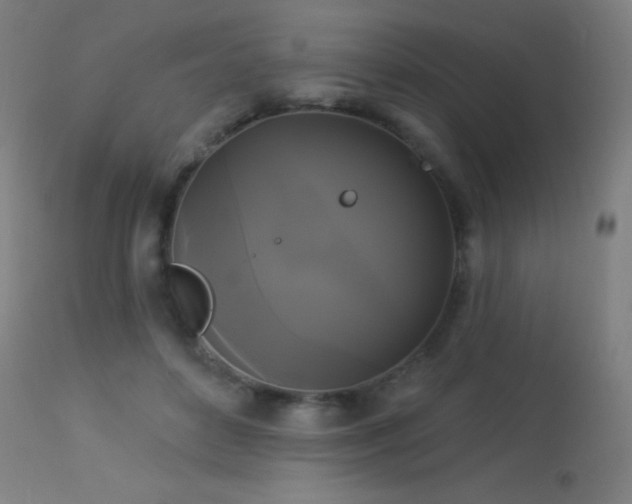 X0000114180504200910081502