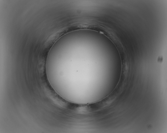 X0000114180505200910081502