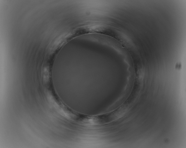 X0000114180506200910081502