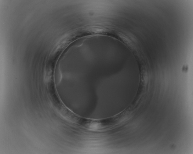 X0000114180507200910081502