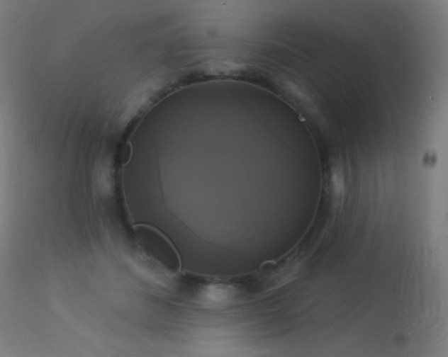 X0000114180508200910081502