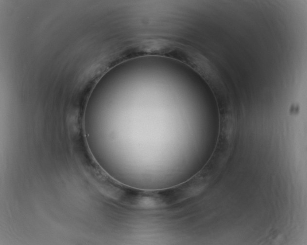 X0000114180510200910081502