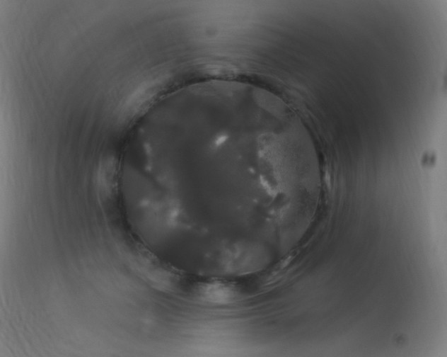 X0000114180511200910081502