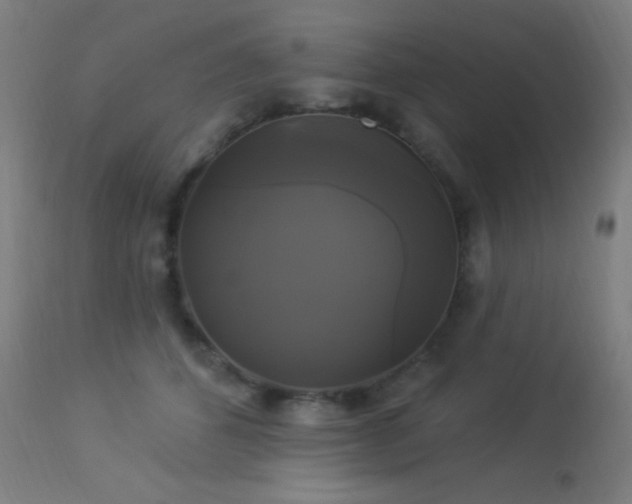 X0000114180512200910081502