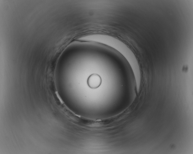 X0000114180513200910081502