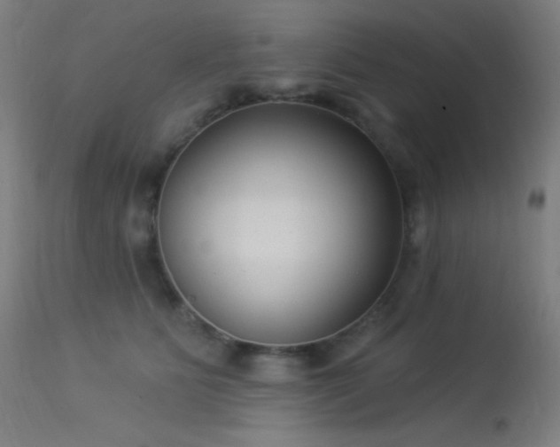 X0000114180515200910081502