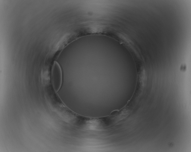 X0000114180516200910081502
