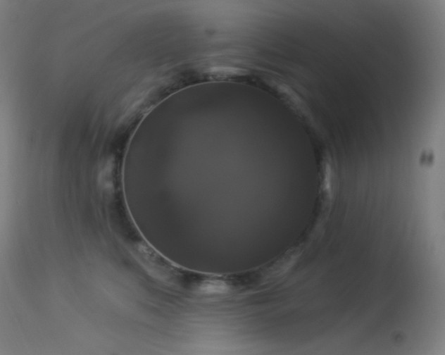 X0000114180519200910081502