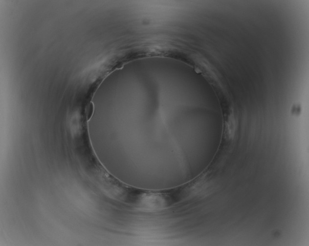 X0000114180520200910081502