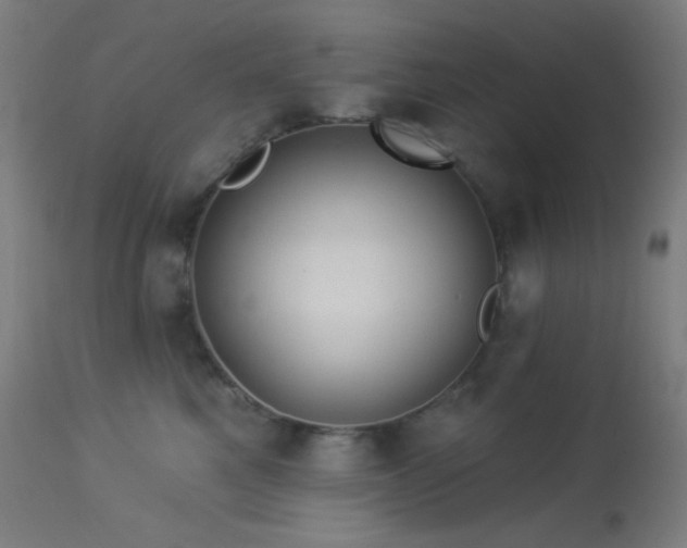 X0000114180521200910081502