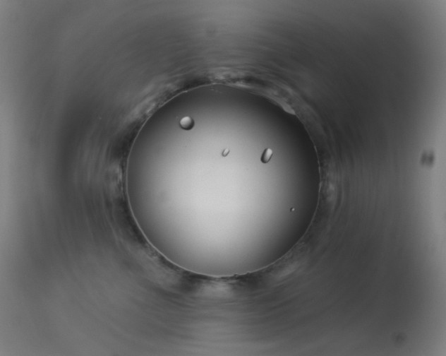 X0000114180523200910081502