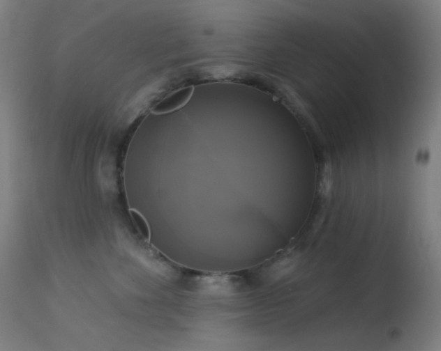X0000114180524200910081502