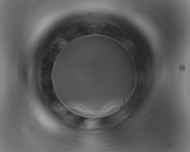 X0000114180526200910081502
