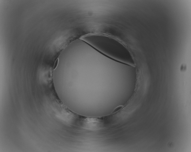 X0000114180528200910081502