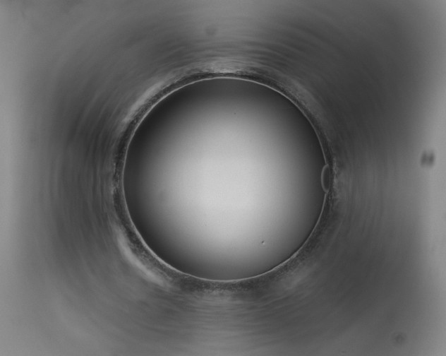 X0000114180530200910081501