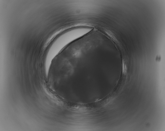 X0000114180531200910081501