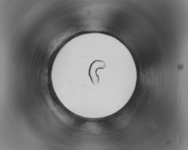 X0000114180534200910081501