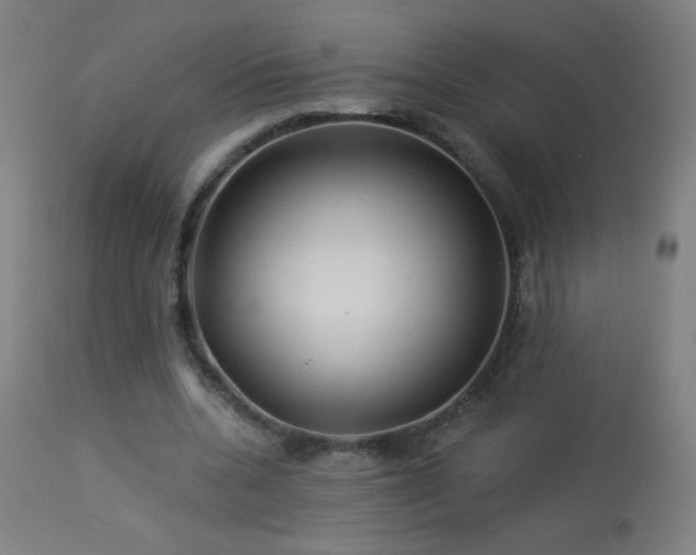 X0000114180536200910081501