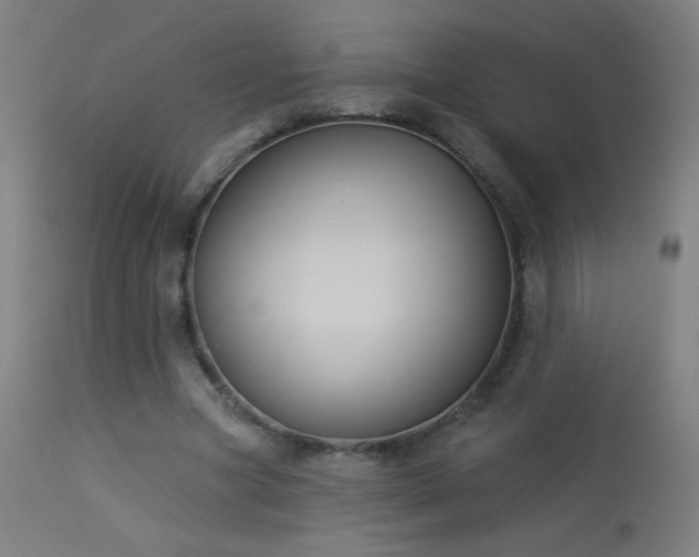 X0000114180537200910081501
