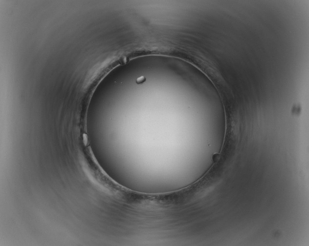 X0000114180538200910081501