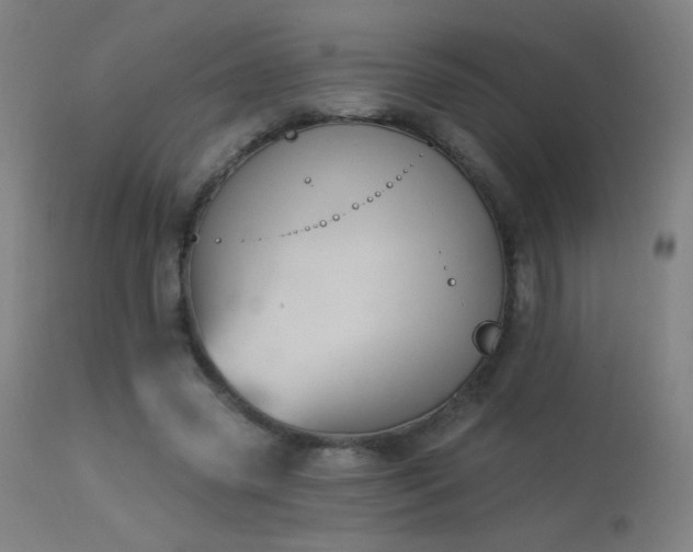 X0000114180541200910081501