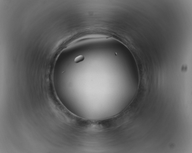 X0000114180543200910081501