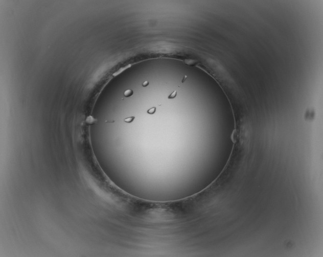 X0000114180544200910081501